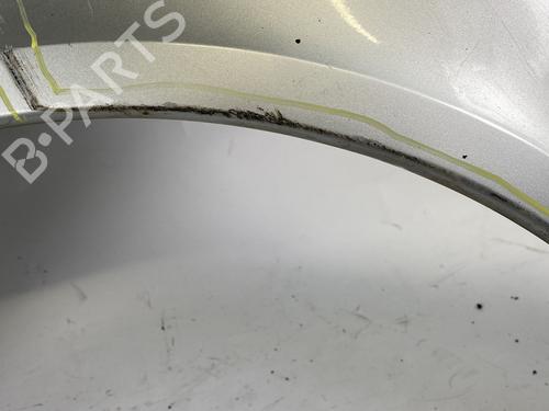 Left front fenders RENAULT LAGUNA II (BG0/1_) 1.9 dCi (BG1A, BG1W, BG0G) | BP25367678C41 