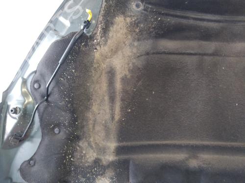 Hood PEUGEOT 407 SW (6E_, 6D_) 2.0 HDi 135 | BP25837118C1 