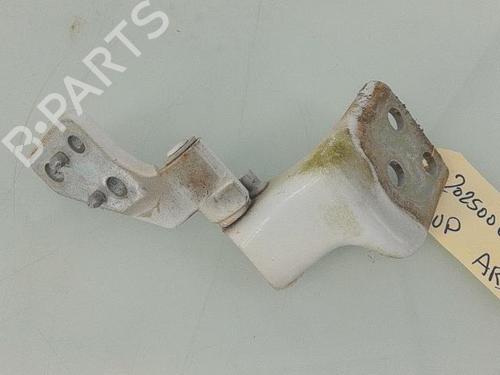 Used Hinge/Door check strap CITROËN BERLINGO Box Body/MPV (B9) 1.6 BlueHDi 100 (99 hp) 25352334