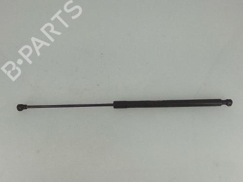 Hood lift support DACIA SANDERO II TCe 90 (B8M1, B8MA, B8AC) | BP27453565C139 