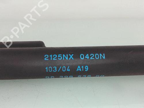 Tailgate lift support CITROËN C3 I (FC_, FN_) 1.4 HDi | BP26523207C138 