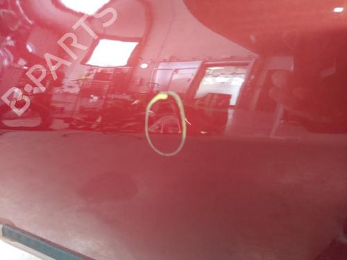 Left front door RENAULT CLIO III (BR0/1, CR0/1) 1.5 dCi (BR17, CR17) | BP25368775C2 