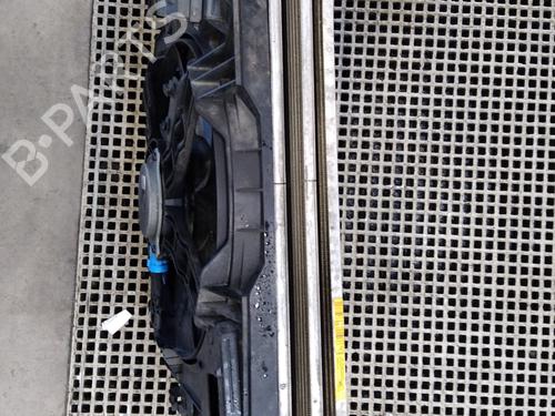 Front slam panel RENAULT TWINGO III (BCM_, BCA_) 0.9 TCe 90 (BCM9, BCM2) | BP29501057C72 