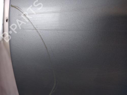 Left rear door MERCEDES-BENZ E-CLASS (W210) E 220 CDI (210.006) | BP27303744C4