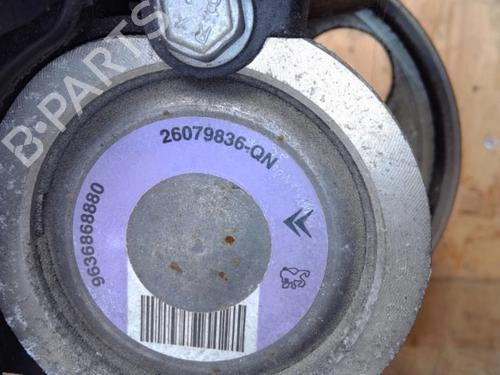 Servostyringspumpe PEUGEOT 206 Hatchback (2A/C) 1.4 i | BP25367618M99 