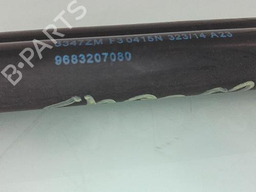 Tailgate lift support PEUGEOT 3008 I MPV (0U_) 1.6 HDi | BP25370976C138 