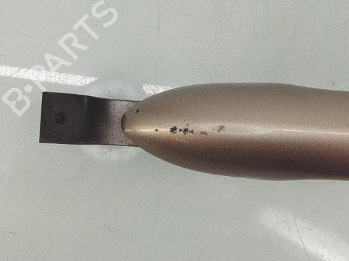 Front left exterior door handle RENAULT SCÉNIC III (JZ0/1_) 1.5 dCi (JZ02, JZ0R) | BP29378157C128 