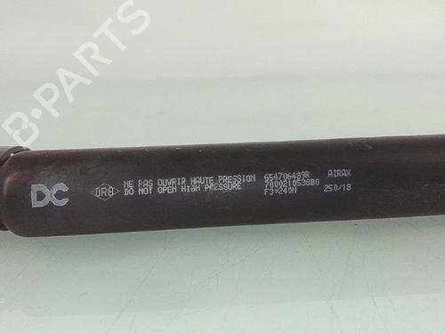 hood-lift-support-renault-kangoo-express-fw01_-2008-25437544 main image