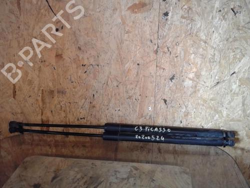 tailgate-lift-support-citroen-c3-picasso-sh_-2008-25367532 main image