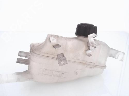 Expansion tank RENAULT SCÉNIC III (JZ0/1_) 1.5 dCi | BP25351366C120 
