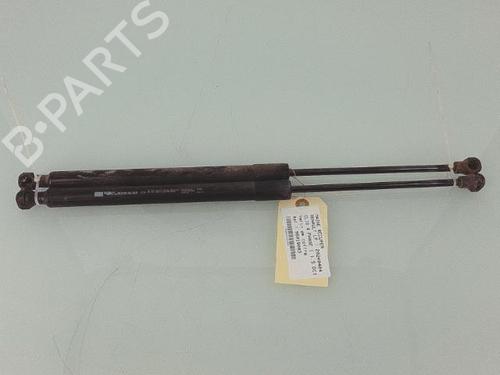 Used Tailgate lift support RENAULT CLIO IV (BH_) 1.5 dCi 75 (75 hp) 25359779