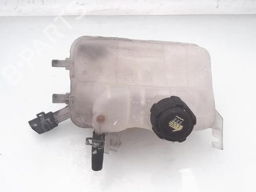 Used Expansion tank RENAULT SCÉNIC III (JZ0/1_) 1.5 dCi (110 hp) 25368719