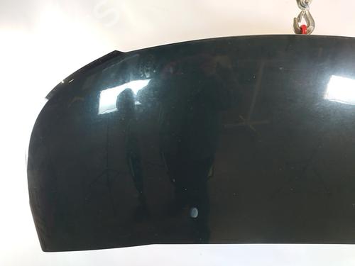 hood-citroen-c3-picasso-sh_-2008-31791735 main image
