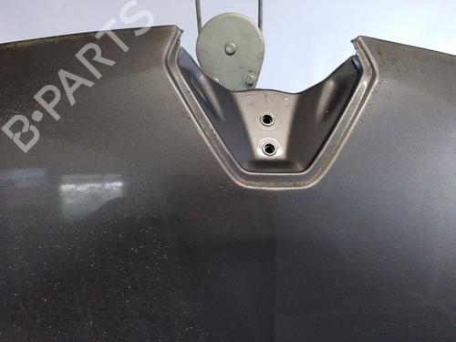 Hood RENAULT MEGANE III Coupe (DZ0/1_) 1.9 dCi (DZ0N, DZ0J, DZ1J, DZ1K) | BP25352025C1 