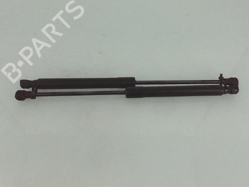 Used Hood lift support RENAULT KANGOO Express (FW0/1_) 1.5 dCi 90 (FW0G, FW05, FW08, FW11) (90 hp) 25437544
