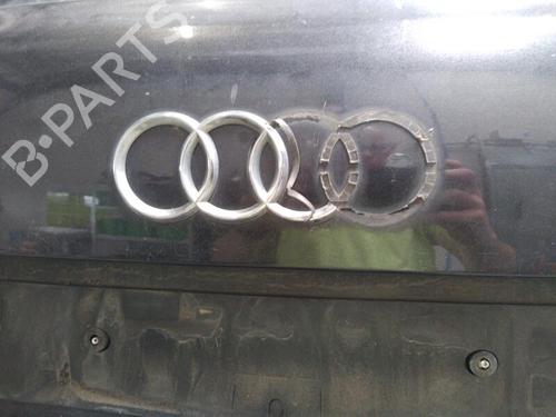 Used Tailgate Tailgate AUDI A3 Sportback (8PA) 2.0 TDI 16V (140 hp) 25366475 25366475