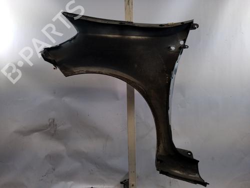 Right front fenders RENAULT CLIO III (BR0/1, CR0/1) 1.5 dCi (C/BR0G, C/BR1G) | BP25360478C42 