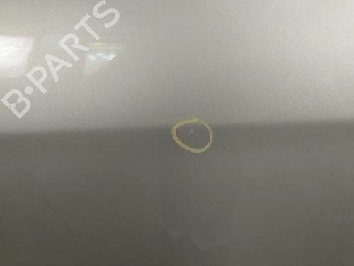 Left rear door LANCIA MUSA (350_) 1.3 D Multijet (350.AXM11, 350.AXM1A, 350.AXI1A) | BP29012352C4 