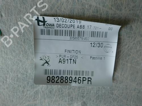 Interior roof PEUGEOT 208 I (CA_, CC_) 1.2 THP 110 | BP29563730I12 