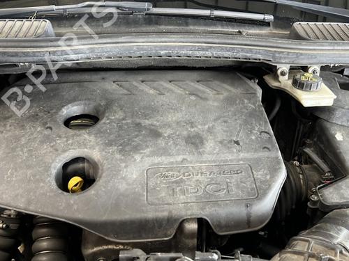 Front left seatbelt FORD C-MAX II (DXA/CB7, DXA/CEU) 1.6 TDCi | BP25368450I26 - Image 9