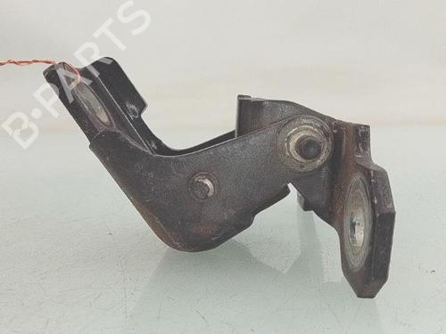 hingedoor-check-strap-renault-megane-iii-hatchback-bz01_-b3_-2008-30128532 main image