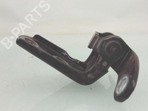 Hinge/Door check strap TOYOTA RAV 4 III (_A3_) 2.2 D 4WD (ALA30_, ALA30R) | BP29979863C146 