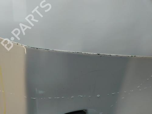 Left front door FIAT PANDA (169_) 1.2 LPG (169CXF1A) | BP30194424C2 