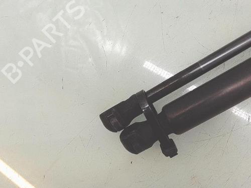hood-lift-support-peugeot-607-9d-9u-2000-37263508 main image