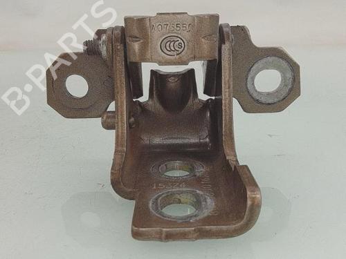 Hinge/Door check strap RENAULT SCÉNIC III (JZ0/1_) 1.5 dCi (JZ02, JZ0R) | BP29387244C146 