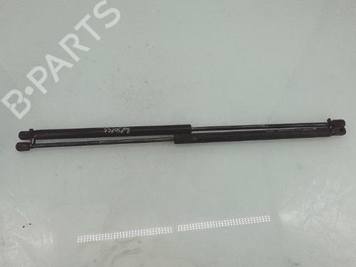 Tailgate lift support RENAULT KANGOO (KC0/1_) 1.5 dCi (KC07) | BP29142558C138 