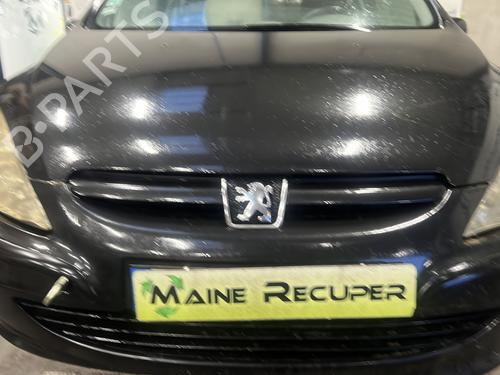Left front door PEUGEOT 307 (3A/C) 1.6 16V | BP25352604C2 