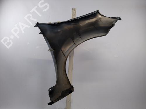 Left front fenders RENAULT MODUS / GRAND MODUS (F/JP0_) 1.5 dCi (FP0D, JP0D) | BP25367980C41 