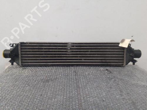Used Intercooler Intercooler FIAT BRAVO II (198_) 1.9 D Multijet (198AXC1B) (150 hp) 24754406 24754406