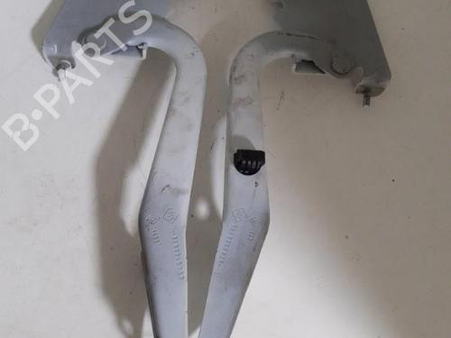 hingedoor-check-strap-renault-megane-cc-ez01_-2010-2011-2012-2013-2014-2015-24741789 main image