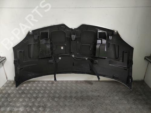 Hood RENAULT TWINGO III (BCM_, BCA_) 1.0 SCe 75 | BP25732358C1 