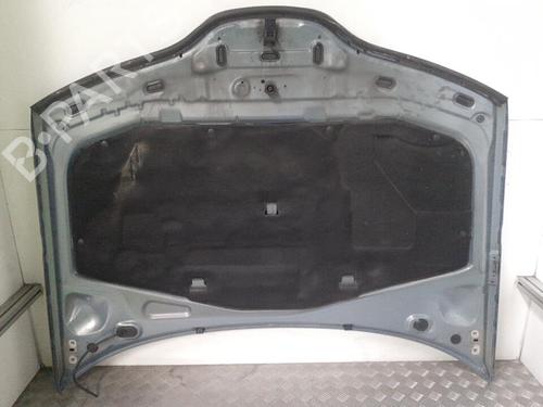 hood-renault-laguna-ii-bg01_-2001-2002-2003-2004-2005-2006-2007-24759854 main image