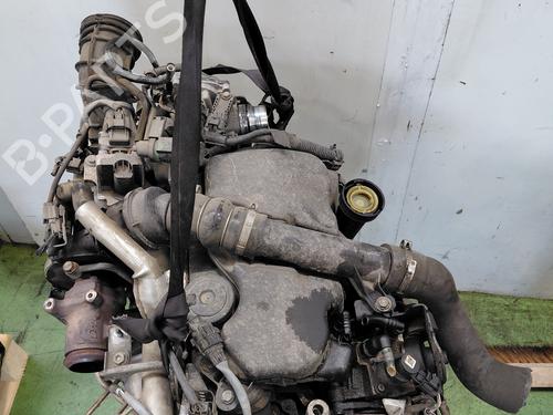 Used Engine Engine RENAULT KANGOO Express (FW0/1_) [2008-2026] 34039346 34039346
