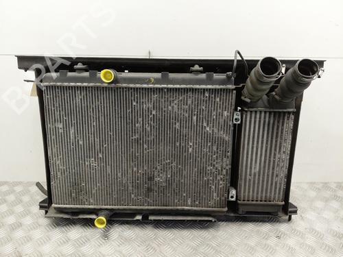 Used Front slam panel Front slam panel PEUGEOT 308 SW I (4E_, 4H_) 1.6 HDi (90 hp) 33606709 33606709