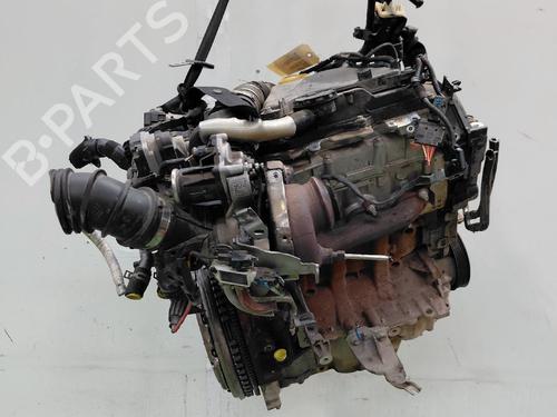 Engine RENAULT KANGOO Express (FW0/1_) | BP40202710M1 - Image 6