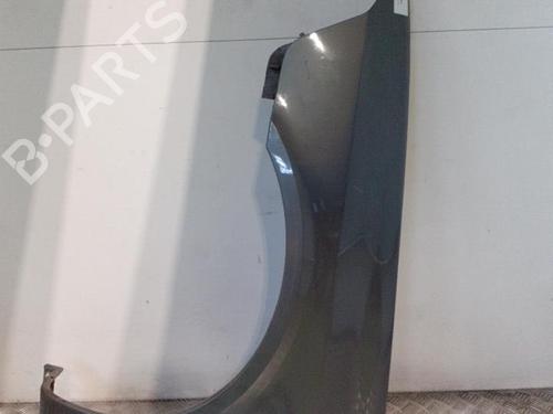 Left front fenders RENAULT LAGUNA II (BG0/1_) 1.9 dCi (BG08, BG0G) | BP24766925C41 