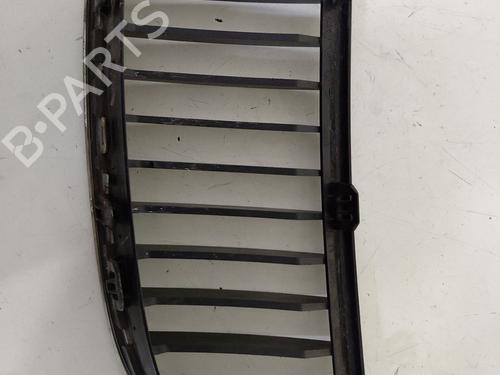 Grille BMW 3 Touring (E91) 320 d | BP30819491C40
