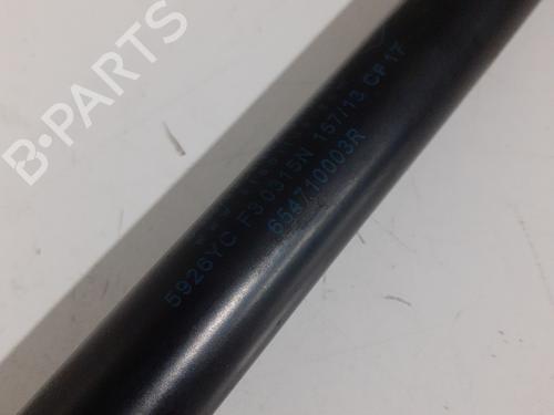 Hood lift support RENAULT MEGANE III Hatchback (BZ0/1_, B3_) 1.5 dCi (BZ0C) | BP24764358C139 
