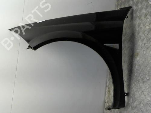 Left front fenders RENAULT MEGANE II Coupé-Cabriolet (EM0/1_) 2.0 | BP24759570C41 