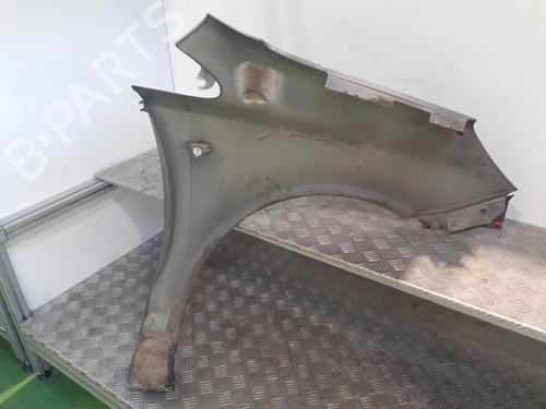 Left front fenders OPEL CORSA D (S07) 1.3 CDTI (L08, L68) | BP25860932C41 