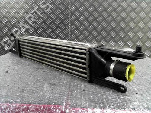 Intercooler FIAT GRANDE PUNTO (199_) 1.3 D Multijet | BP24752682M30 - Image 3