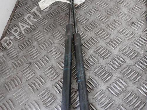 Used Tailgate lift support RENAULT MEGANE III Hatchback (BZ0/1_, B3_) 1.5 dCi (BZ09, BZ0D, BZ1W, BZ29, BZ14) (110 hp) 24747858