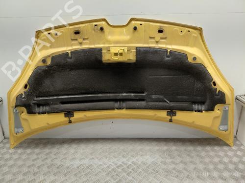 hood-renault-kangoo-express-fw01_-2008-35918546 main image
