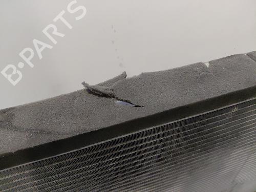 Used Water radiator Water radiator FORD FUSION (JU_) 1.6 TDCi (90 hp) 30059829 30059829