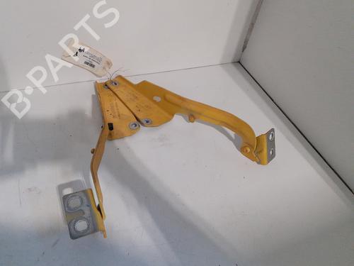Used Hinge/Door check strap RENAULT KANGOO Express (FW0/1_) 1.5 dCi 95 (FW16) (95 hp) 27732145