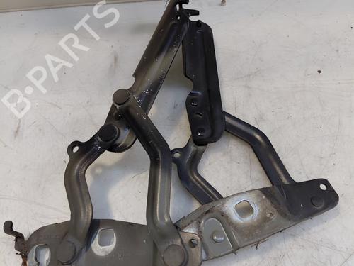 hingedoor-check-strap-ford-fiesta-vi-cb1-ccn-2008-33047076 main image